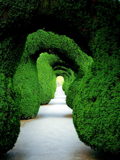 20 Beautiful Examples of Green Photography | The Wondrous Design Magazine